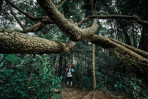 BIB: 
                            <button type="button" onclick="openModal(25705731)" class="btn btn-primary btn-sm float-right btn-popup" data-toggle="modal" data-target=".modal-high-quality">
                        <i class="fas fa-shopping-cart"></i> Add to Cart
                    </button>
                                            <button type="button" onclick="isThisMe(25705731, true)" class="btn btn-success btn-sm float-right btn-popup btn-isme hidden" data-toggle="tooltip" data-placement="bottom" title="นี่คือรูปของคุณใช่ไหม คลิกที่นี่เพื่อเอาเข้าอัลบั้ม">
                        <i class="fas fa-plus"></i> Add to album
                    </button>
                    <button type="button" onclick="isThisMe(25705731, false)" class="btn btn-warning btn-sm float-right btn-popup btn-isnotme hidden">
                        <i class="fas fa-ban"></i> Remove from album
                    </button>